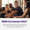 Herba NMN Supplement with Resveratrol – 500mg + 100mg | 100% Purity β-NMN & >99% Resveratrol | NAD Supplement Canada Made | NAD+ Precursor | 30 Capsules 🍁 All In One Marketplace Canada
