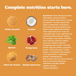 Good Protein Vegan Plant-based Protein Powder 100% Natural, Non-GMO, Dairy-free, Gluten-free, Soy-free, No Added Sugar and Nothing Artificial. Salted Caramel All-in-One Shake 440 grams 🍁 All In One Marketplace Canada