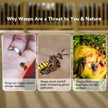 Aspectek Yellow Wasp Trap, 2 Pack, Outdoor Hanging Hornet, Yellow Jacket and Fly Catcher for Yard and Patio, Reusable, Easy Fill, Leak-Proof, Protect Garden, Patio, BBQ, Apple, Pear Trees, Berries 🍁 All In One Marketplace Canada