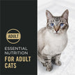 Purina Pro Plan Dry Cat Food, Complete Essentials Chicken & Rice - 7.26 kg Bag (1 Pack) 🍁 All In One Marketplace Canada