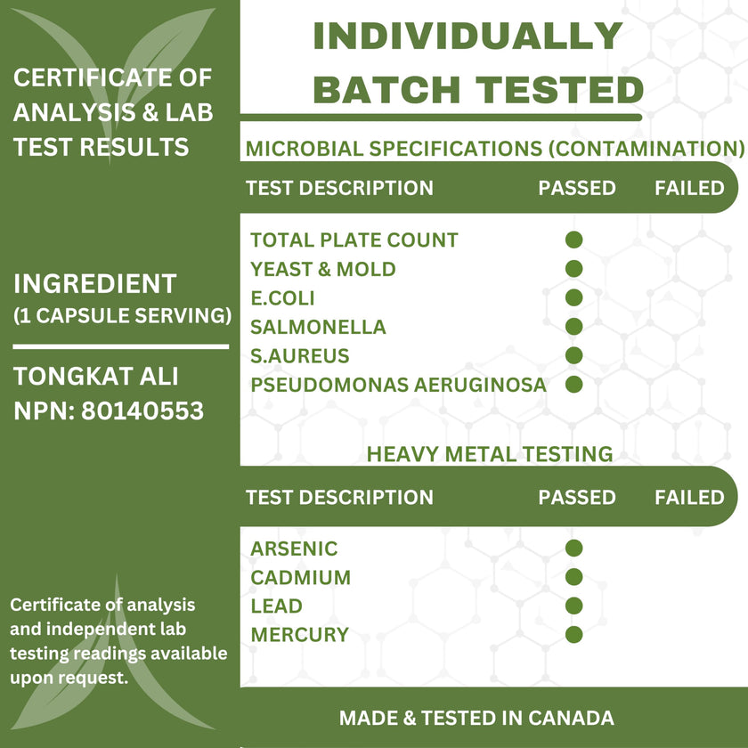 6X Strength Tongkat Ali 600 MG PER SINGLE CAPSULE 60,000 MG Equivalent 100:1 Extract Ratio Highest Potency, OrganiMAXX Longjack Eurycoma Longifolia Non-GMO Premium Tongkat Ali Supplement For Men. 🍁 All In One Marketplace Canada