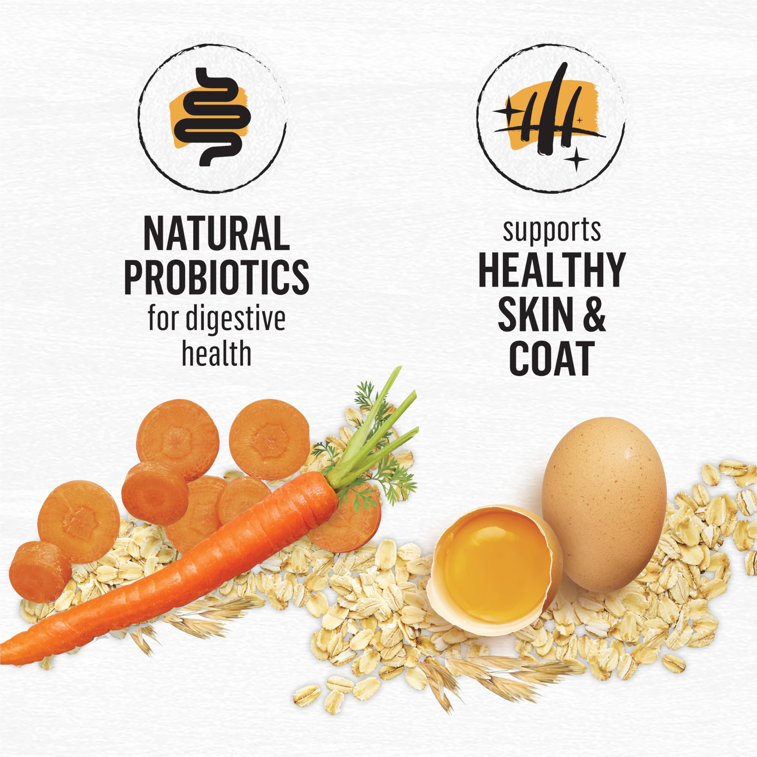 Beyond Dry Cat Food, Chicken & Whole Oatmeal 2.72kg 🍁 All In One Marketplace Canada