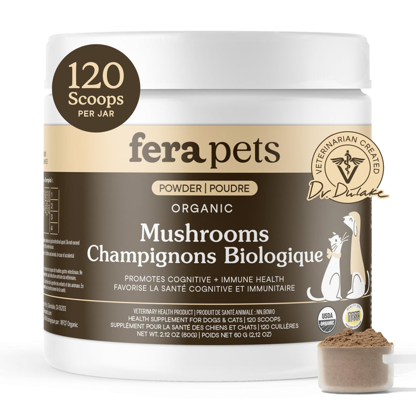 Fera Pets Turkey Tail Mushroom for Dogs & Cats - USDA Organic Supplement - Cognitive and Immune Support - Enhances Liver Function - Supports a Healthy Gut - Powder - 120 Scoops 🍁 All In One Marketplace Canada