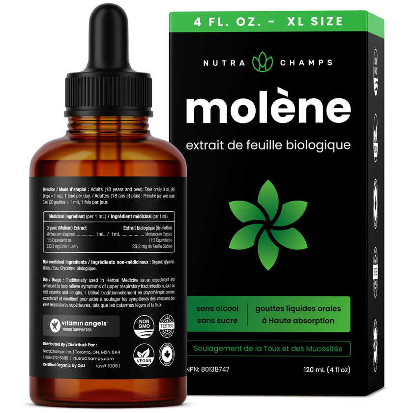 Organic Mullein Leaf Extract for Lungs - 4 Fl Oz - Herbal Tincture for Lung Cleanse & Flush - Natural Mullein Tea Alternative - Mullein Supplement Drops for Lungs - 1,000mg Equivalent Per Serving 🍁 All In One Marketplace Canada