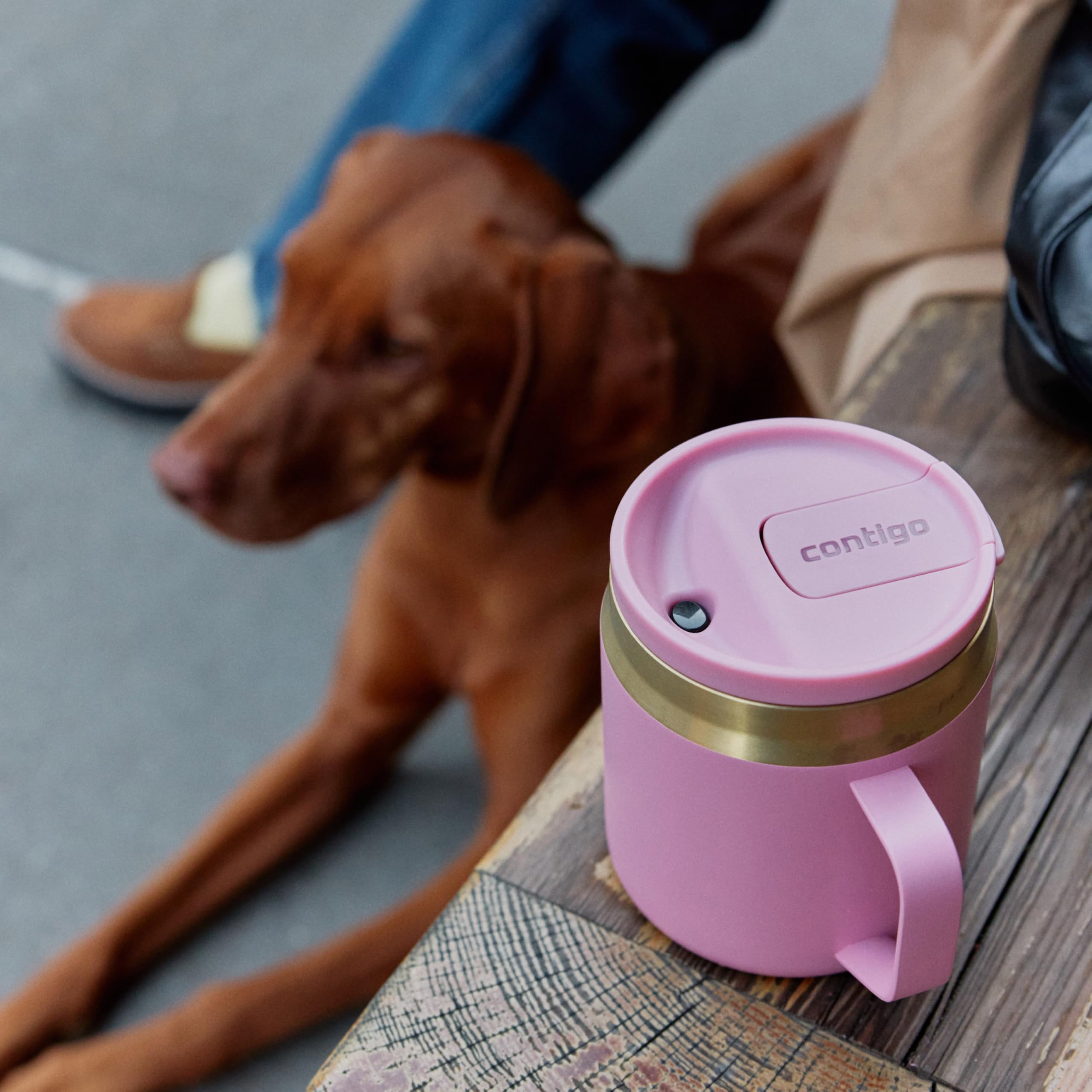 Contigo SnapSeal 14 oz Office Mug | Vacuum-Insulated Stainless Steel Tumbler for Hot Coffee & Tea or Cold Drinks | Spill-Proof Lid w/Straw Compatibility | BPA & Lead-Free | Dishwasher Safe 🍁 All In One Marketplace Canada