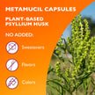 Metamucil Daily Fibre Supplement, Sugar Free, Naturally Sourced Psyllium Husk, Multi-Health Benefit Daily, Plant-Based, Gluten-Free Capsules, 100 Capsules 🍁 All In One Marketplace Canada