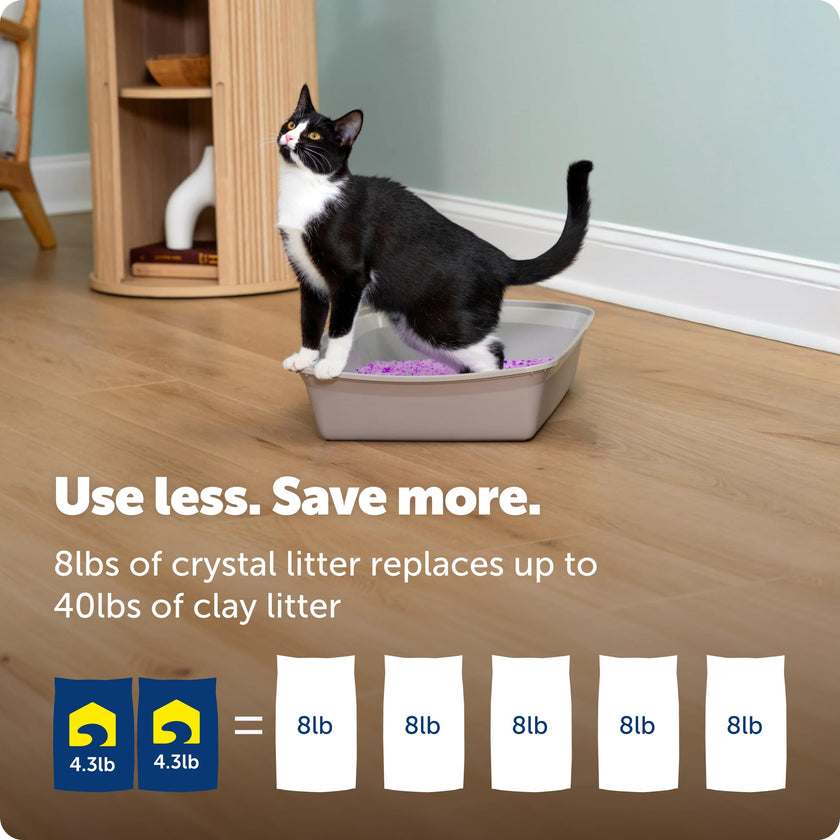 PetSafe ScoopFree Lavender Non-Clumping Crystal Cat Litter, Lightly Scented Litter – Superior Odor Control – Low Tracking for Less Mess – Lasts Up to 1 Month, 8.6 Lbs Total (2 Pack of 4.3 Lb Bags) 🍁 All In One Marketplace Canada