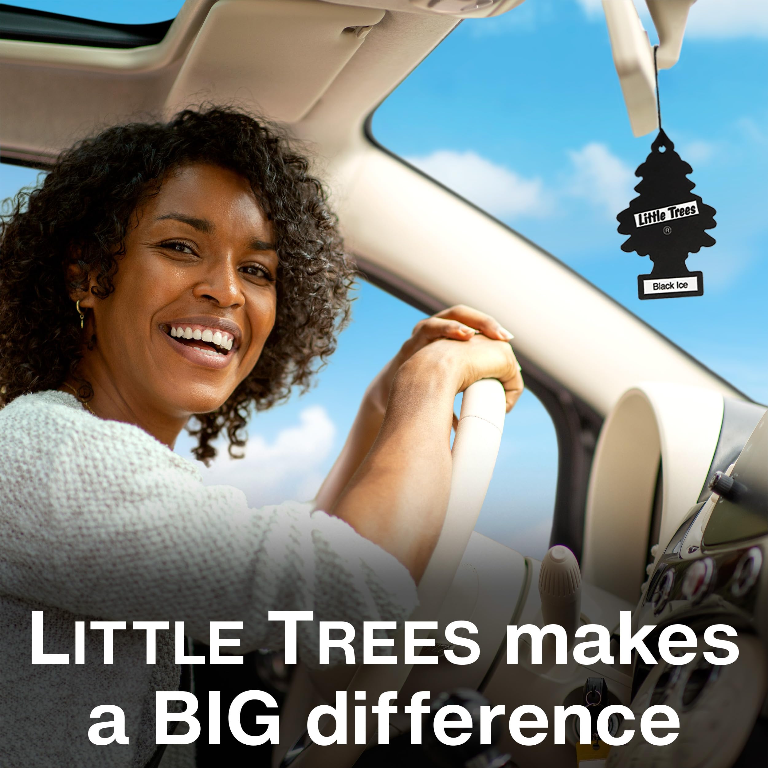 LITTLE Air Fresheners Car Air Freshener. Hanging Tree Provides Long Lasting Scent for Auto or Home. Black Ice, 24 Air Fresheners 🍁 All In One Marketplace Canada