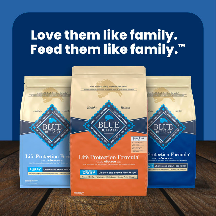 Blue Buffalo Life Protection Formula Large Breed Adult Dry Dog Food, Promotes Joint Health and Lean Muscles, Made with Natural Ingredients, Chicken & Brown Rice Recipe,11.7kg/26 lbs 🍁 All In One Marketplace Canada