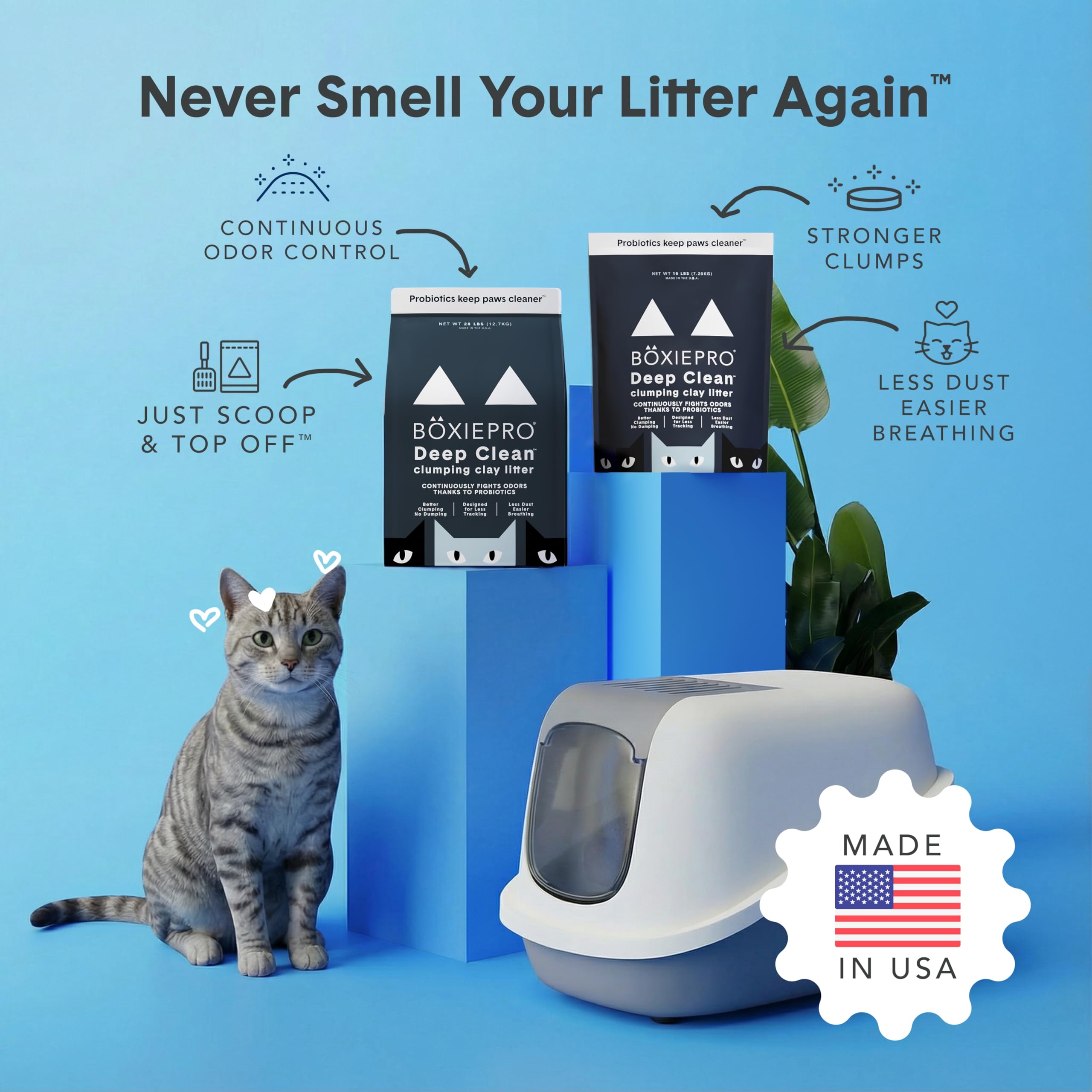 Boxie® Probiotic Cat Litter 40 Day Natural Odor Control, 16lb Clumping Kitty Litter (Clay) 🍁 All In One Marketplace Canada
