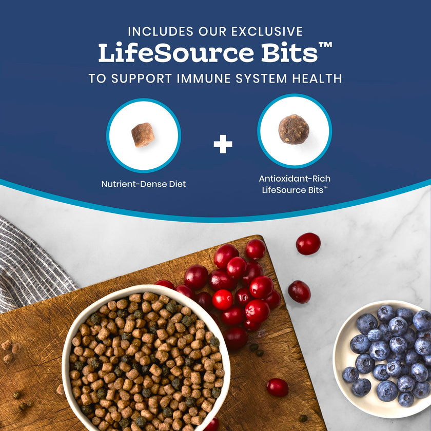 Blue Buffalo Tastefuls Chicken & Brown Rice Recipe Sensitive Stomach Adult Dry Cat Food, Real Chicken First, Deliciously Healthy Natural Cat Food, Natural Ingredients, Supports Digestion, 3.1kg Bag 🍁 All In One Marketplace Canada
