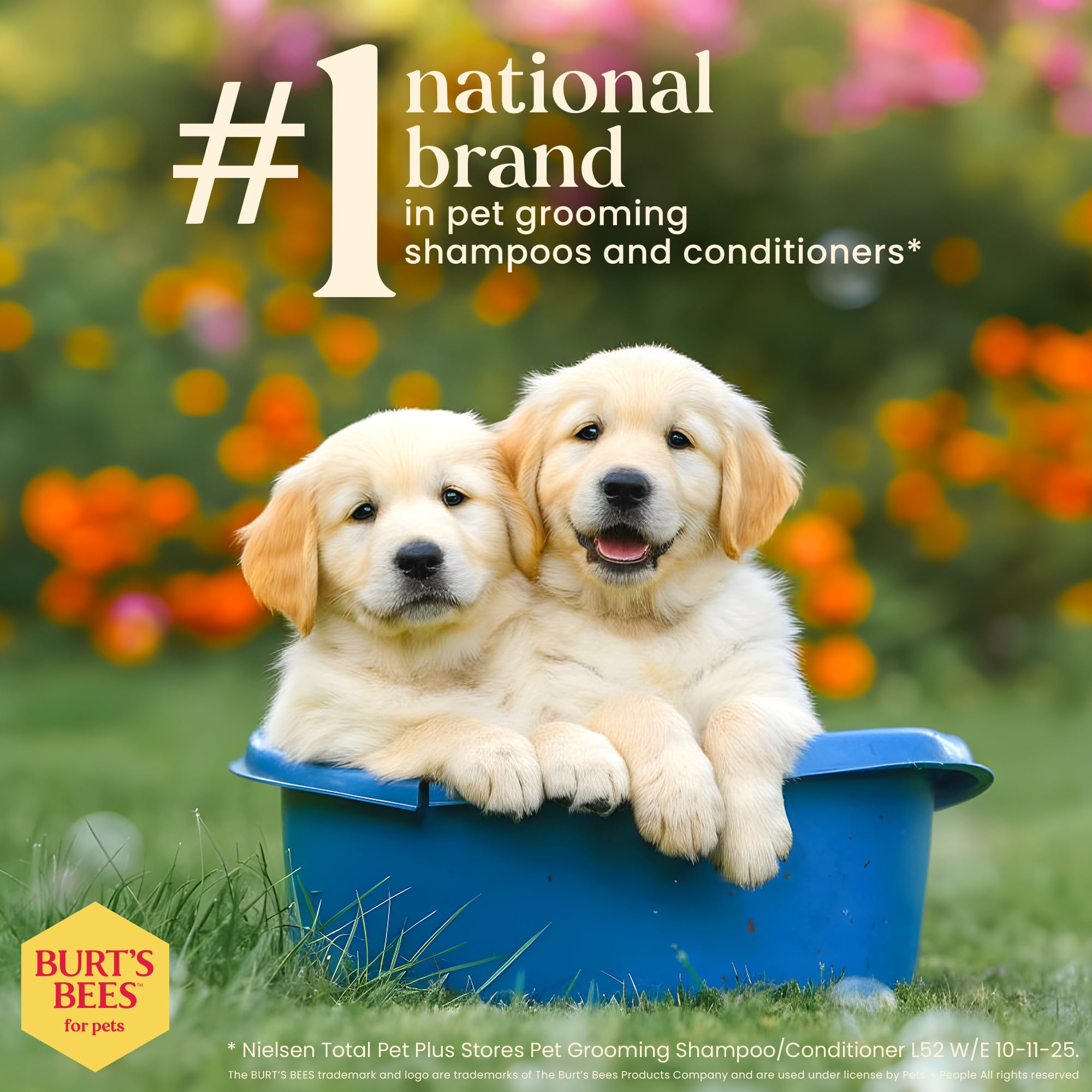 Burt's Bees for Puppies Natural Tearless 2 in 1 Shampoo and Conditioner | Made with Buttermilk and Linseed Oil | Best Tearless Puppy Shampoo for Gentle Skin and Coat | Made in USA, 16 Oz 🍁 All In One Marketplace Canada