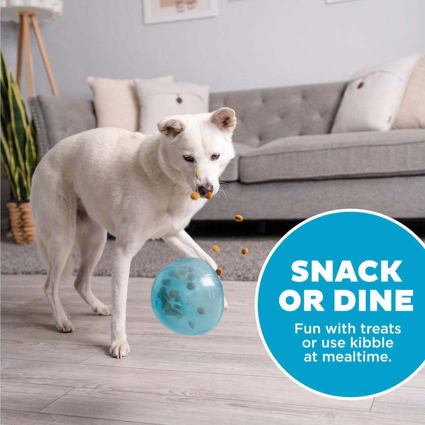 Planet Dog Orbee-Tuff Snoop Interactive Puzzle Dog Toy, Blue 🍁 All In One Marketplace Canada