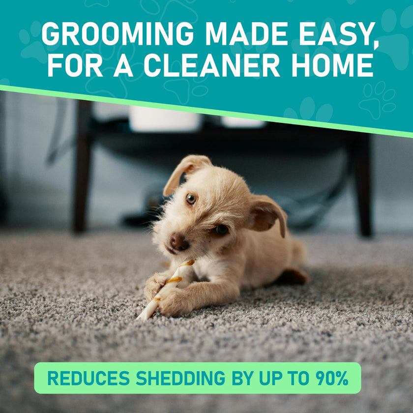 Maxpower Planet Pet Grooming Brush - Double Sided Shedding, Dematting - Undercoat Rake Dogs - Dog Grooming Brush - Deshedding Brush for Dogs - Dog Brush, Cat Brush, Reduce Shedding by 95%, Turquoise 🍁 All In One Marketplace Canada