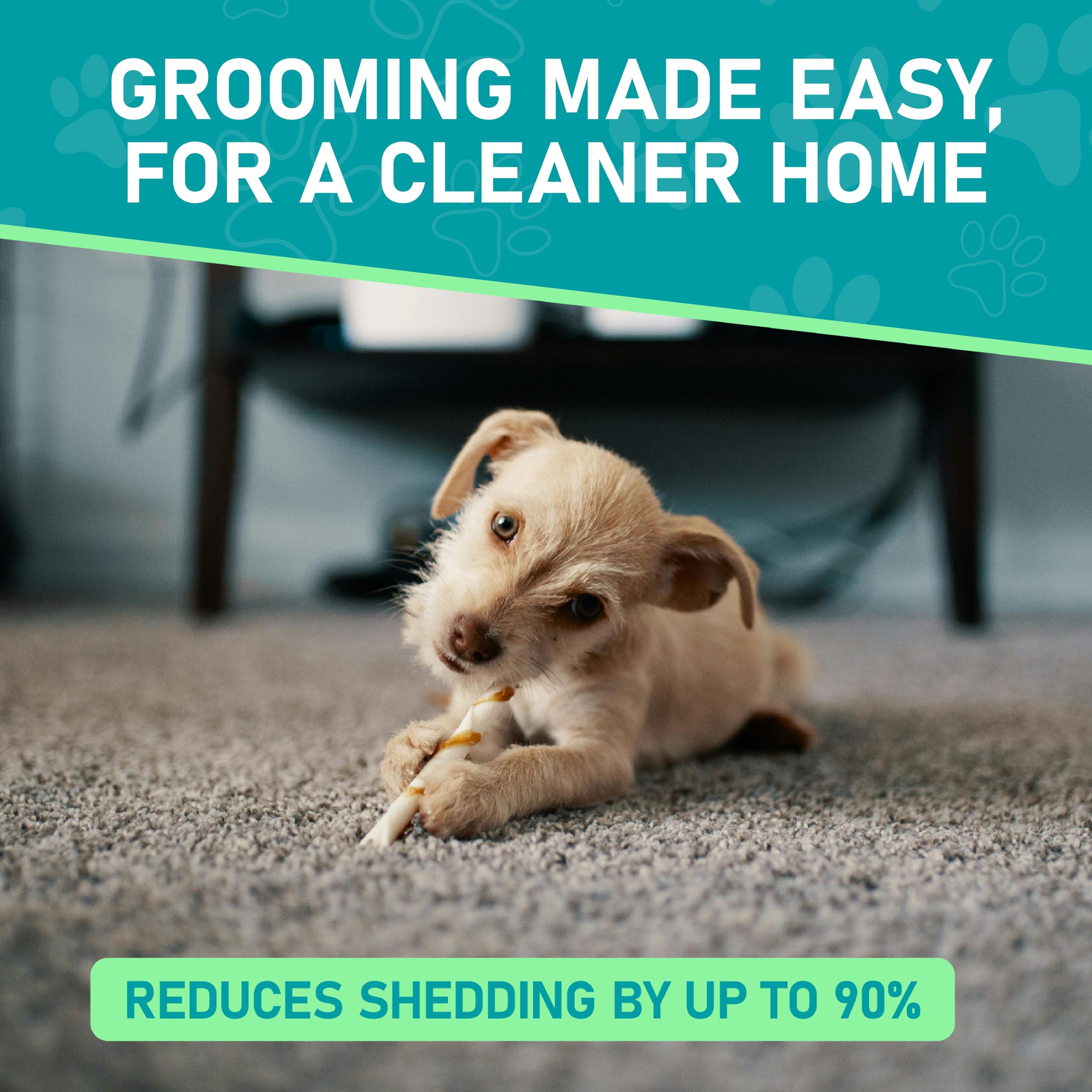 Maxpower Planet Pet Grooming Brush - Double Sided Shedding, Dematting - Undercoat Rake for Dogs - Dog Grooming Brush - Deshedding Brush for Dogs - Dog Brush, Cat Brush, Reduce Shedding by 95%, Purple 🍁 All In One Marketplace Canada