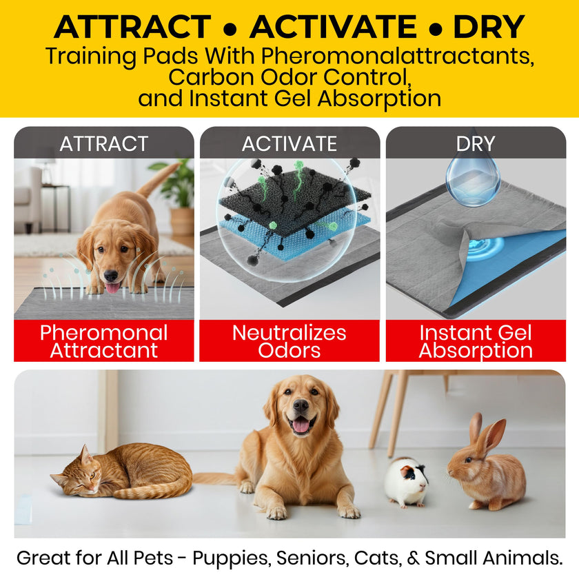 Glad for Pets XL Charcoal Training Pads for Dogs and Puppies, 50 Count 🍁 All In One Marketplace Canada