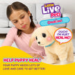 Little Live Pets Ouchies - Cooper The Retriever Puppy|Transform from Injured to Healed Like a Vet. Make a Real Cast. Walking Puppy with Carrier (35cm/13.8in Tall). Repeat Play. 50+ Sounds & Reactions 🍁 All In One Marketplace Canada
