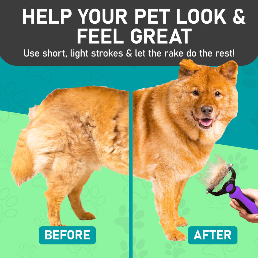 Maxpower Planet Pet Grooming Brush - Double Sided Shedding, Dematting - Undercoat Rake for Dogs - Dog Grooming Brush - Deshedding Brush for Dogs - Dog Brush, Cat Brush, Reduce Shedding by 95%, Purple 🍁 All In One Marketplace Canada