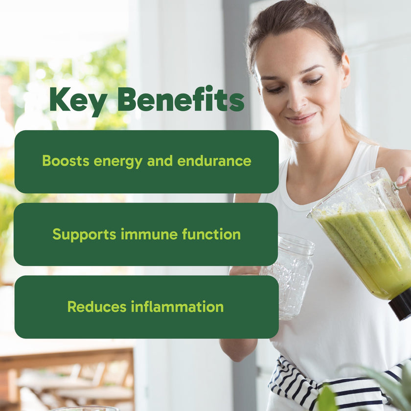 Organika Canadian-Made Certified Organic Spirulina Powder- Superfood, 3rd Party Tested, Pristine Sourcing, Vegan- 500g 🍁 All In One Marketplace Canada