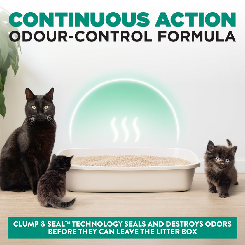 Arm & Hammer Clump & Seal Slide Clay Cat Litter, Non-Stop Odour Control, 12.7kg, 7 Days of Odour Control, Dust Free, Clumping Litter (Pack of 1) 🍁 All In One Marketplace Canada