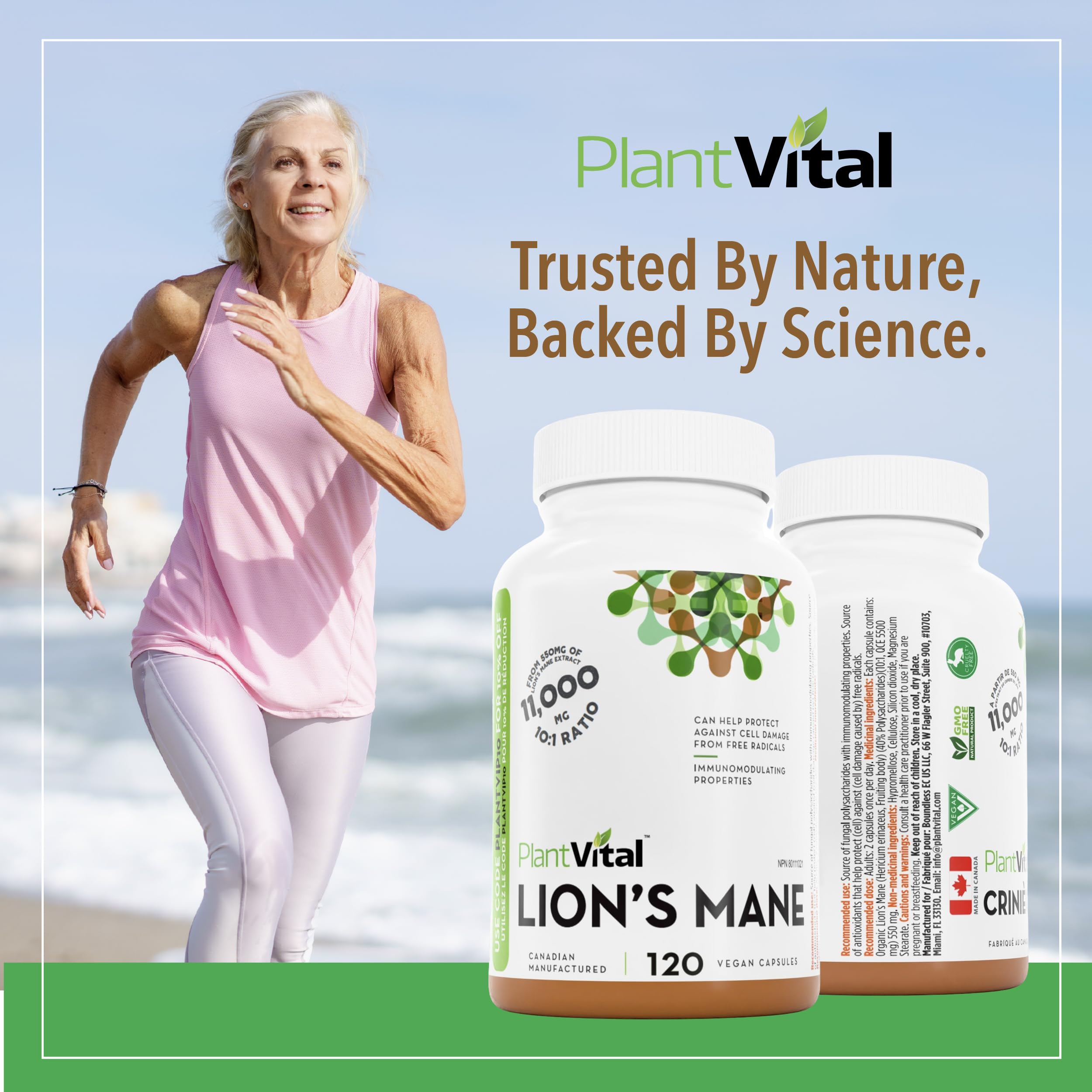 PlantVital Lions Mane - Made in Canada - Max Potency 11,000mg (10:1 Extract) - Organic Lion’s Mane Mushroom Supplements with 40% Polysaccharides - Supports Immune Health and Antioxidants -120 Capsules 🍁 All In One Marketplace Canada