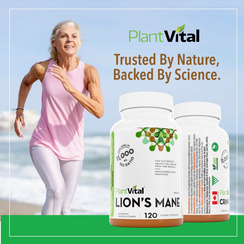 PlantVital Lions Mane - Made in Canada - Max Potency 11,000mg (10:1 Extract) - Organic Lion’s Mane Mushroom Supplements with 40% Polysaccharides - Supports Immune Health and Antioxidants -120 Capsules 🍁 All In One Marketplace Canada