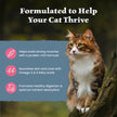 Blue Buffalo Wilderness with Salmon Natural High-Protein Grain-Free Dry Food for Adult Cats, Real Salmon First, Antioxidant-Rich LifeSource Bits Support Immunity, Promotes Strong Muscles,11 lbs. 🍁 All In One Marketplace Canada