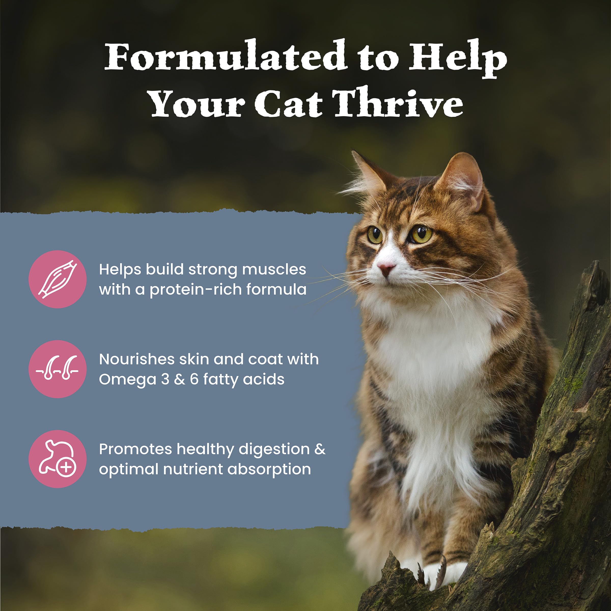 Blue Buffalo Wilderness with Salmon Natural High-Protein Grain-Free Dry Food for Adult Cats, Real Salmon First, Antioxidant-Rich LifeSource Bits Support Immunity, Promotes Strong Muscles, 2.2kg/5 lbs. 🍁 All In One Marketplace Canada
