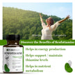 PUREFULLY Benfotiamine Vitamin B1/Thiamine 100mg, 120 Capsules - High Absorption Energy Support - Gluten Free, Non-GMO, Made in Canada 🍁 All In One Marketplace Canada