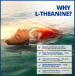 CanPrev L-Theanine with Magnesium, 90 Capsules 90-Day Supply - Promote Relaxation and Calmness - Without Drowsiness - Synergistic Blend for Well-being Management - Vegan, Non-GMO and Gluten-Free 🍁 All In One Marketplace Canada