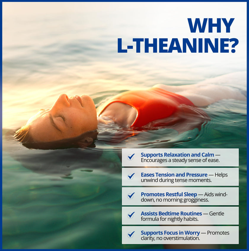 CanPrev L-Theanine with Magnesium, 90 Capsules 90-Day Supply - Promote Relaxation and Calmness - Without Drowsiness - Synergistic Blend for Well-being Management - Vegan, Non-GMO and Gluten-Free 🍁 All In One Marketplace Canada