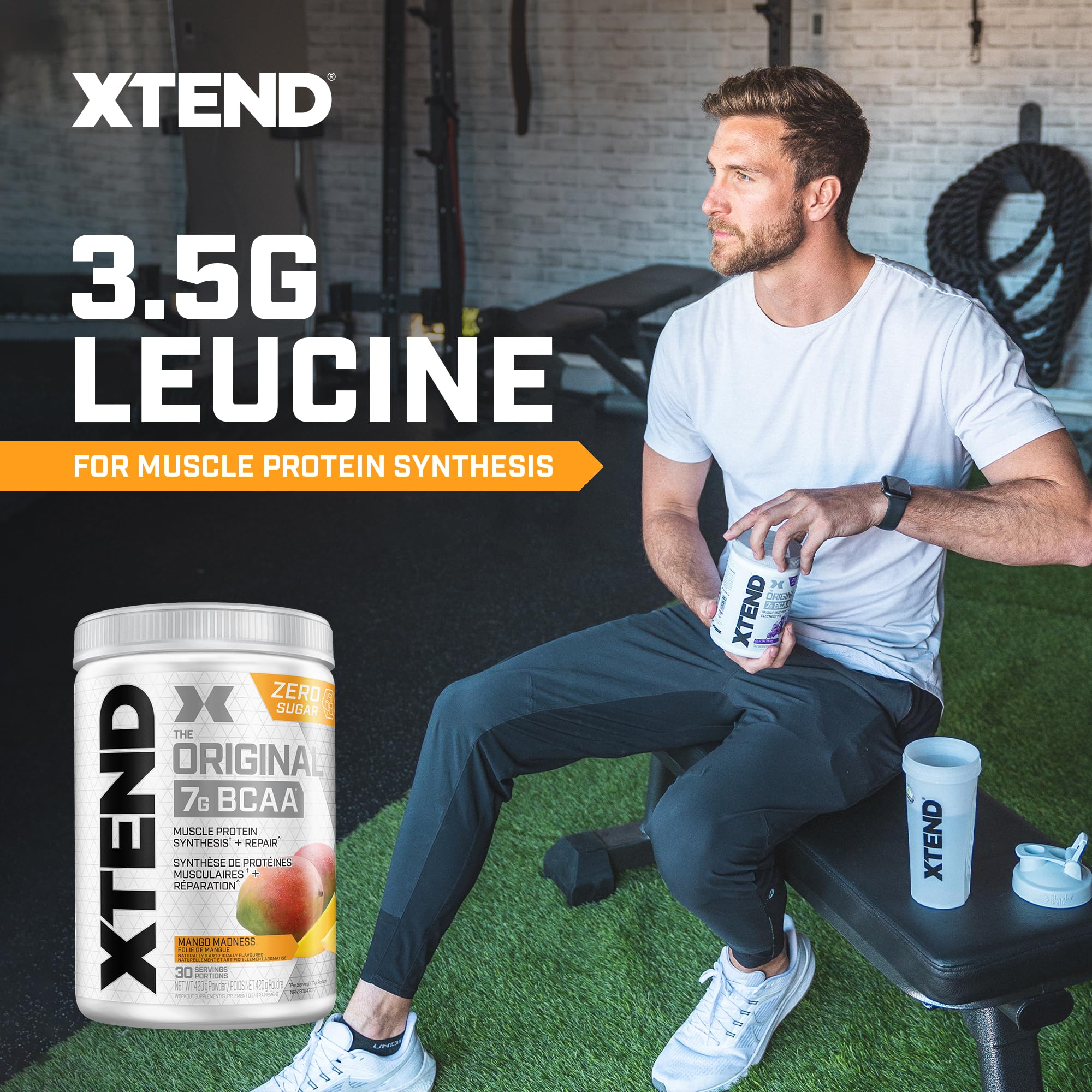 Scivation XTEND Original BCAA Powder - Sugar-Free Muscle Recovery with 7g BCAA, 2.5g L-Glutamine - Mango Madness, 30 Servings 🍁 All In One Marketplace Canada