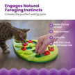 Catstages Buggin' Out Puzzle & Play, Interactive Treat Puzzle Cat Toy, Green 🍁 All In One Marketplace Canada