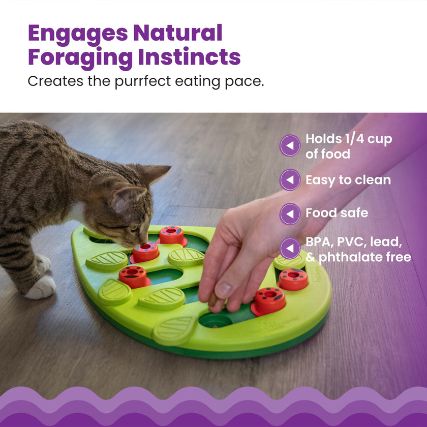 Catstages Buggin' Out Puzzle & Play, Interactive Treat Puzzle Cat Toy, Green 🍁 All In One Marketplace Canada