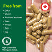 Organika Canadian-Made Ashwagandha with Black Pepper- Enhanced Absorption, Memory Support, Sleep Aid, Adaptogenic- 90vcaps 🍁 All In One Marketplace Canada