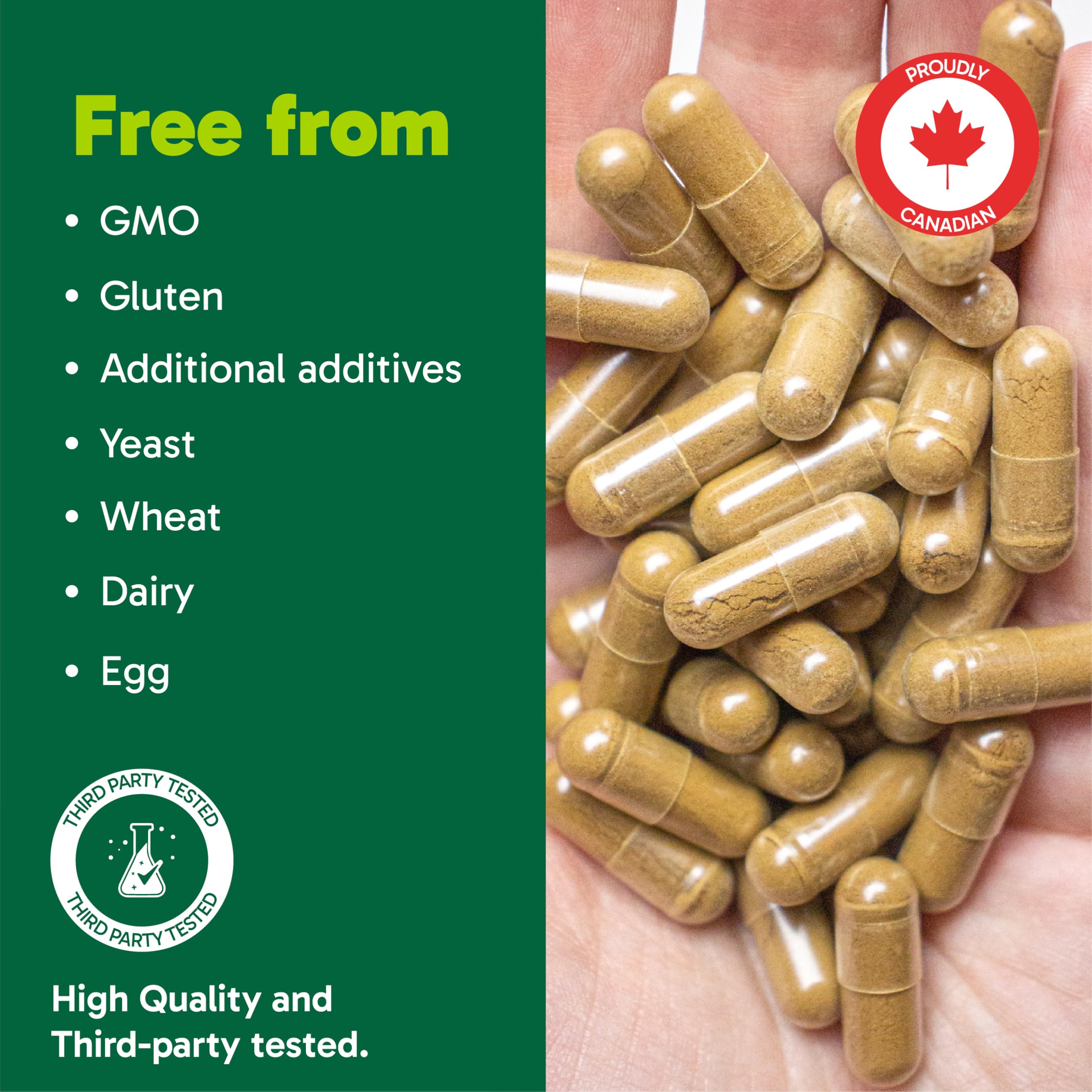 Organika Canadian-Made Ashwagandha with Black Pepper- Enhanced Absorption, Memory Support, Sleep Aid, Adaptogenic- 90vcaps 🍁 All In One Marketplace Canada