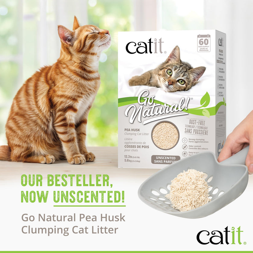 Catit Go Natural Pea Husk Clumping Cat Litter, Unscented, 5.6 kg, Dust Free & Lightweight Cat Litter, Easy to Scoop, Litiere Pour Chat 🍁 All In One Marketplace Canada