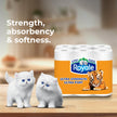 Royale Ultra Strength Paper Towel, 12 Equal 30 Rolls, 123 Sheets per Roll 🍁 All In One Marketplace Canada