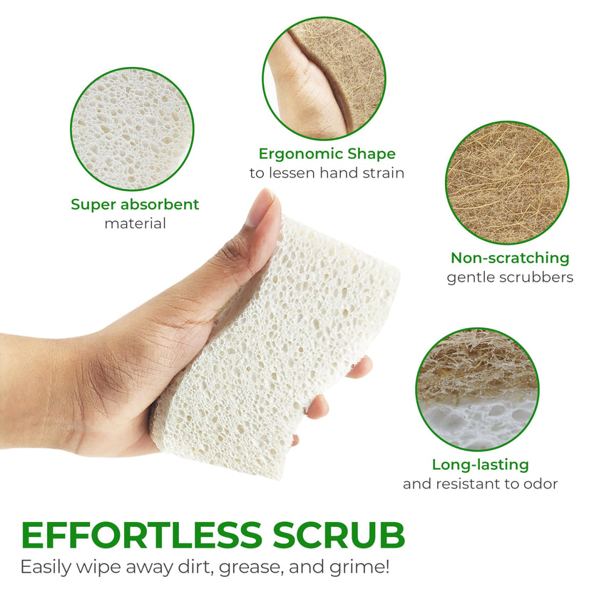 AIRNEX 12 Pack Natural Sponges for Dishes - Biodegradable Sponges for Kitchen - Plant Based Cellulose & Coconut Natural Dish Sponge - Non Toxic Eco Friendly Sponges, Non Scratch Kitchen Scrubber 🍁 All In One Marketplace Canada