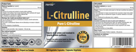 Herba L-Citrulline Capsules 750mg – 180 Capsules | 3,000mg Per Serving | Ultra Pure >98% | L Citrulline Nitric Oxide Supplement | Made & 3rd Party Tested in Canada 🍁 All In One Marketplace Canada