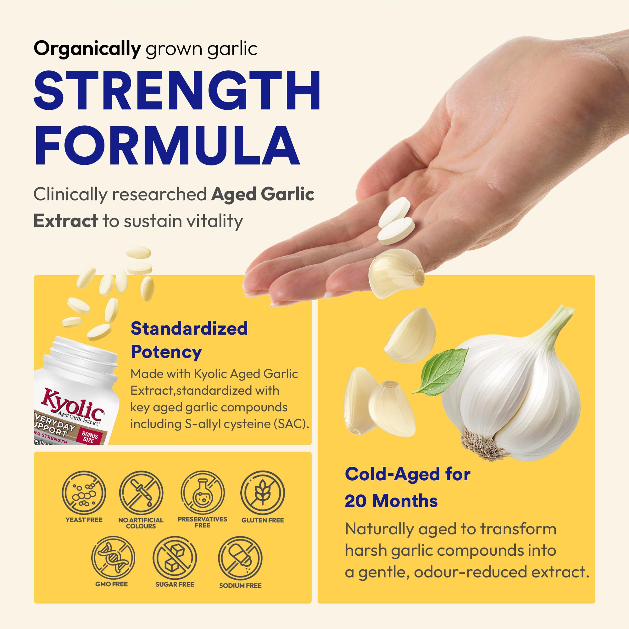 Kyolic Odourless Aged Garlic Extract - 90 Tablets Extra Strength 1000mg - Cardiovascular Supplement - Kyolic Cardiovascular Health -Garlic Extract Supplement - 90 Day-Supply 🍁 All In One Marketplace Canada