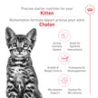 Royal Canin Feline Health Nutrition Kitten Spayed/Neutered Dry Cat Food, 2.5 lb Bag 🍁 All In One Marketplace Canada