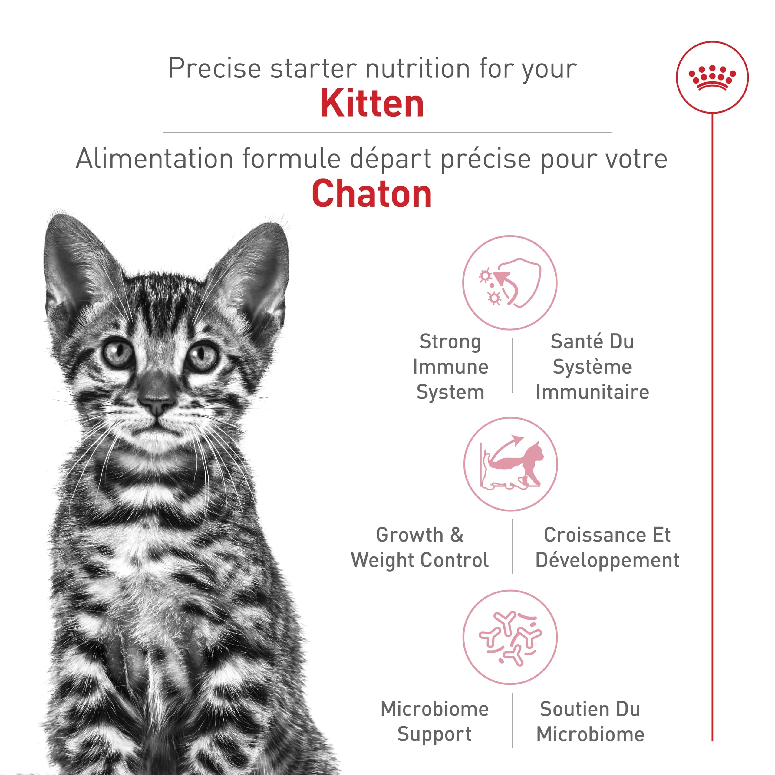 Royal Canin Feline Health Nutrition Kitten Spayed/Neutered Dry Cat Food, 2.5 lb Bag 🍁 All In One Marketplace Canada