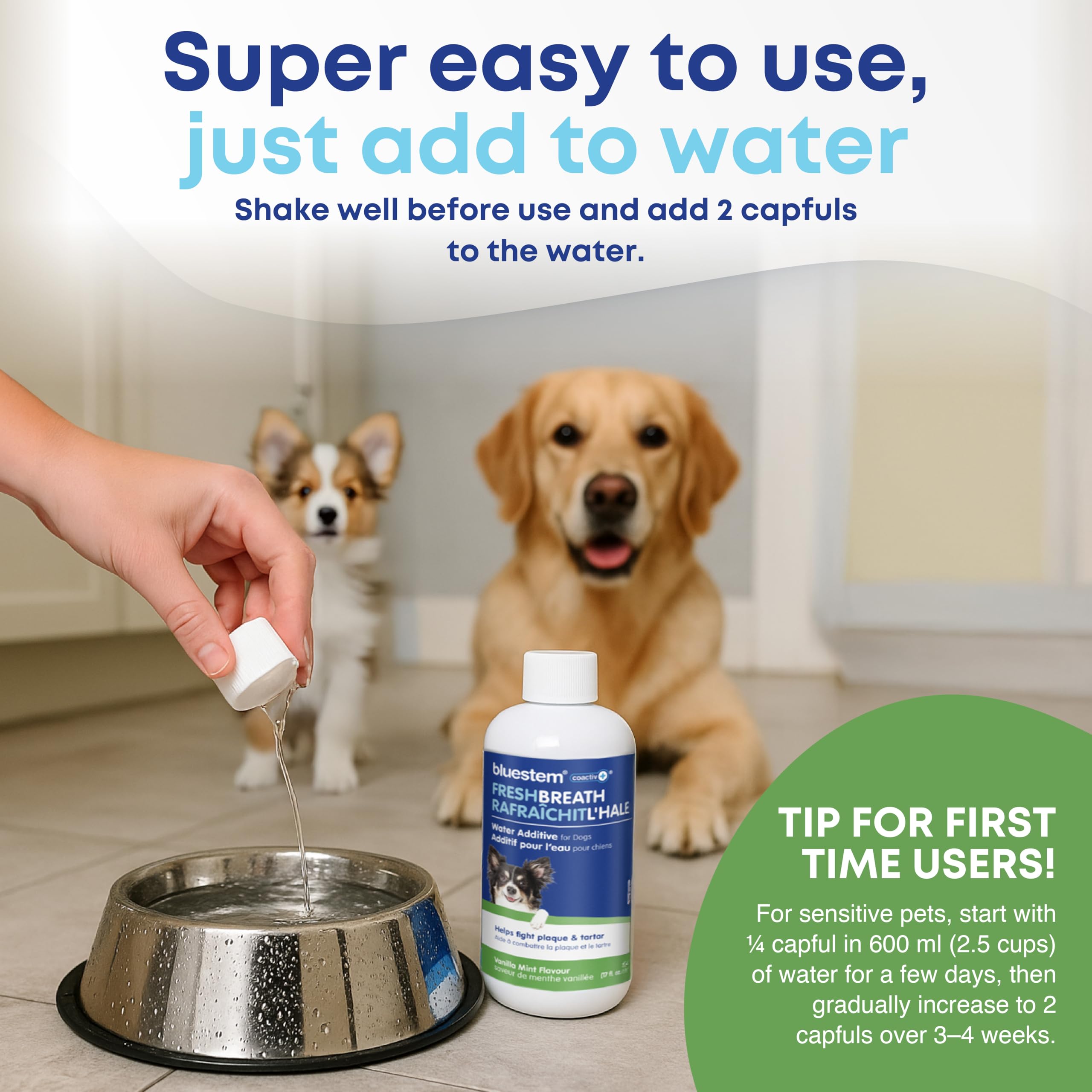bluestem Dental Care Water Additive for Dogs – No Brushing Daily Teeth Cleaner – Pet Oral Rinse to Freshen Breath & Help Reduce Plaque – Flavorful & Easy Oral Hygiene (500 ml, Vanilla Mint) 🍁 All In One Marketplace Canada