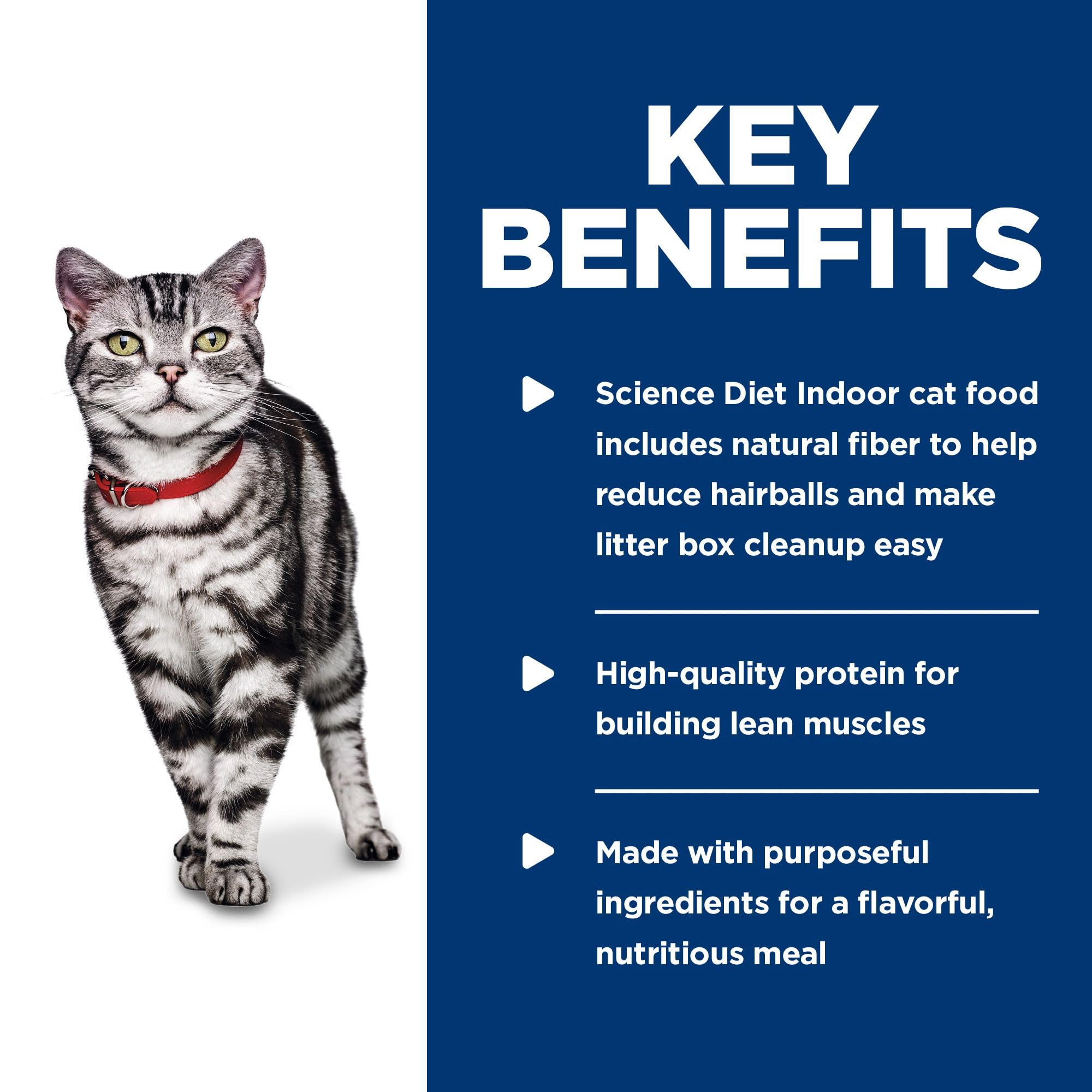 Hill's Science Diet Adult Indoor Canned Cat Food, Savory Chicken Entrée, 5.5 oz, 24 Pack Wet cat Food 🍁 All In One Marketplace Canada