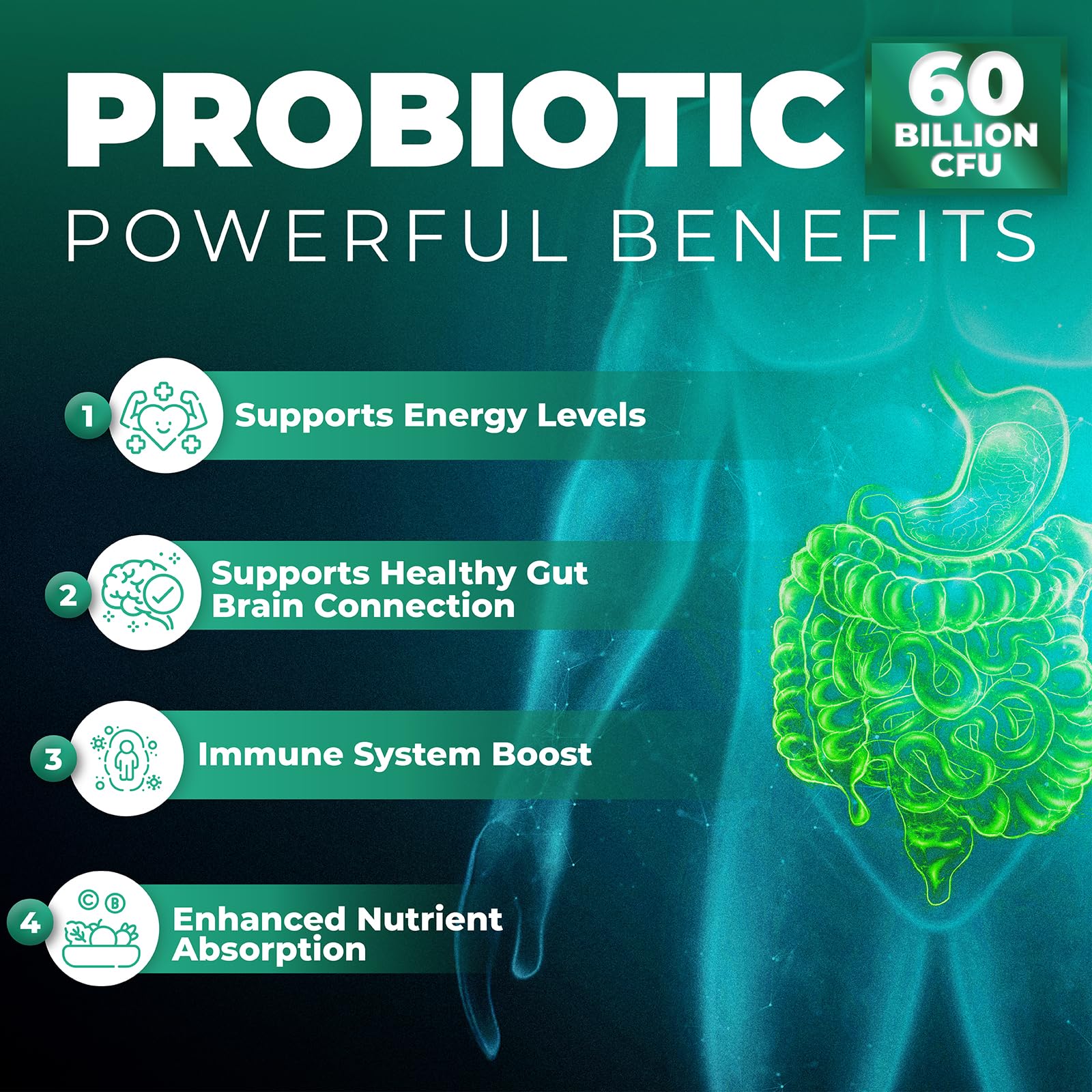 Probiotics Women & Men - 60 Billion CFU Probiotic + Prebiotics | Delayed Release Capsules Survive Stomach Acid for Max Potency | Digestive & Immune Support | Bloating & Gas Relief | Shelf Stable Lactobacillus Strains | Canadian Made, 3rd Party Tested