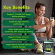 Organika Canadian-Made Creatine Powder- Lemonade- Pure Micronized Creatine Monohydrate - Helps Build Lean Muscle, Increase Strength, and Improved Recovery and Performance for Men and Women - 600g 🍁 All In One Marketplace Canada