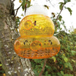 Aspectek Yellow Wasp Trap, 2 Pack, Outdoor Hanging Hornet, Yellow Jacket and Fly Catcher for Yard and Patio, Reusable, Easy Fill, Leak-Proof, Protect Garden, Patio, BBQ, Apple, Pear Trees, Berries 🍁 All In One Marketplace Canada