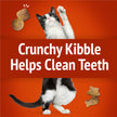 Friskies Party Mix Cat Treats, Gravy-Licious Crunch Chicken 510g (3 Pack) 🍁 All In One Marketplace Canada