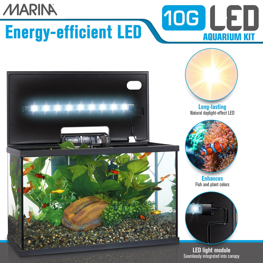 Marina LED Aquarium Kit, 10 Gallon, (15256A1) 🍁 All In One Marketplace Canada